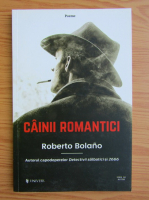 Roberto Bolano - Cainii romantici