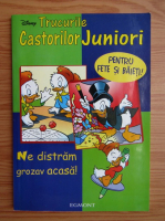 Trucurile castorilor juniori. Pentru fete si baieti. Ne distram grozav acasa