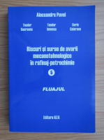 Alecsandru Pavel - Riscuri si surse de avarii tehnologice in rafinaj-petrochimie (volumul 5)