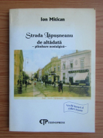 Ion Mitican - Strada Lapusneanu de altadata