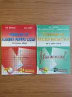 Ion Petrica - Probleme de algebra pentru liceu, clasa  a IX-a si clasa a XII-a (2 volume, 1995)