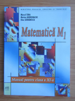 Marcel Tena - Matematica M1. Manual pentru clasa a XI-a (2007)