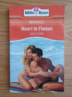 Sally Cook - Heart in flames