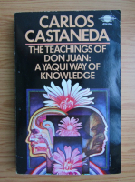 Carlos Castaneda - The teaching of Don Juan