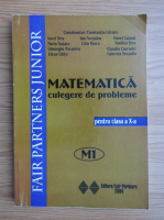 Constantin Udriste - Matematica. Culegere de probleme pentru clasa a X-a (2004)