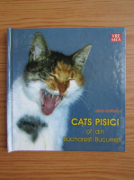 Silvia Colfescu - Pisici din Bucuresti (editie bilingva)