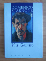 Domenico Starnone - Via Gemito