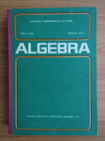 I. D. Ion - Algebra 