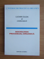Lucian Culda - Sociologia procesual-organica