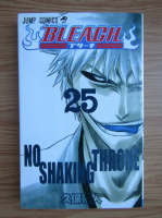 Tite Kubo - Bleach, volumul 25. No shaking throne