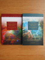 Adrian Sorin Mihalache - Lumina celui nevazut (2 volume)