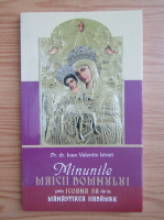 Anticariat: Ioan Valentin Istrati - Minunile Maicii Domnului prin icoana Sa de la Manastirea Hadambu