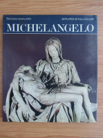 Nicholas Wadley - Michelangelo