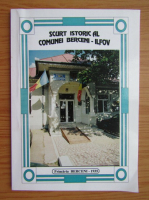Scurt istoric al comunei Berceni-Ilfov