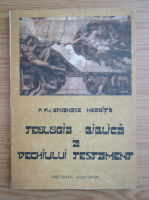 Athanase Negoita - Teologia biblica a vechiului testament