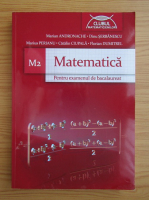 Marian Andronache - Matematica pentru examenul de bacalaureat M2 (2011)
