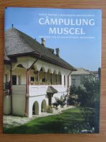 Schite pentru o monografie arhitecturala Campulung Muscel