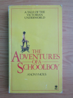 Anonymous - The adventures of a schoolboy 