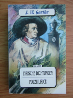 Johann Wolfgang Goethe - Poezii lirice