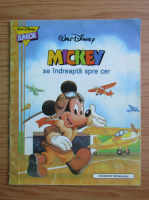 Mickey se indreapta spre cer