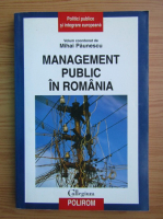 Mihai Paunescu - Management public in Romania