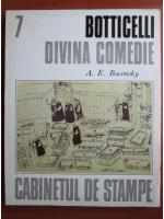 Anticariat: Anatol E. Baconsky - Botticelli. Divina comedie