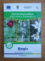 Padurea Mogos-Matele, aurul verde al Scanteiestiului