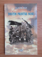 Iulia Blaga - Destin printre nori
