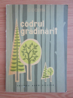 Carmen Costea - Codrul gradinarit