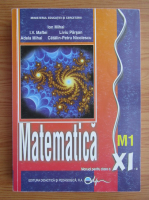 I. V. Maftei - Matematica. Manual pentru clasa a XI-a