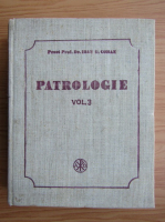 Ioan G. Coman - Patrologie (volumul 3)