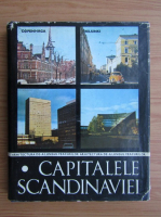 Anticariat: Peter Derer - Capitalele Scandinaviei (volumul 1)