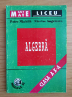 Petre Nachila - Algebra. Clasa a X-a