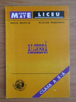 Petre Nachila, Nicolae Angelescu - Algebra clasa a X-a