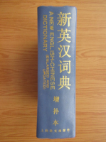 A new english-chinese dictionary