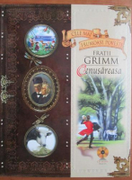 Colectia Cele mai frumoase povesti. Fratii Grimm, Cenusareasa nr. 2 (fara CD)