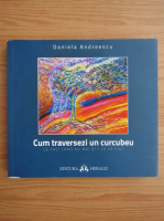 Daniela Andreescu - Cum traversezi un curcubeu. Ce faci cand nu mai stii ce sa faci