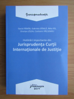 Gyula Fabian - Hotarari importante din Jurisprudenta Curtii Internationale de Justitie