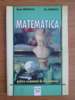 Marian Andronache - Matematica pentru examenul de bacalaureat (2005)