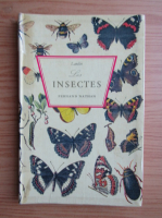 O. Landin - Les insectes