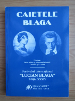 Casa Blaga