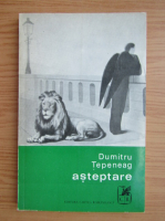 Dumitru Tepeneag - Asteptare (editie Princeps, 1971)