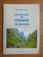 Nae Moldovan - Un buchet de trasee in Bucegi