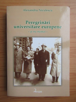 Alexandru Niculescu - Peregrinari universitare europene si nu numai