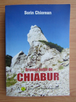 Sorin Chiorean - Drumul fiului de Chiabur