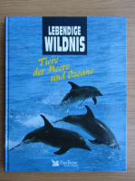 Tiere der Meere und Ozeane