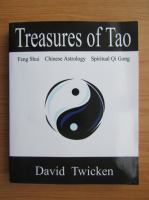 David Twicken - Treasures of Tao