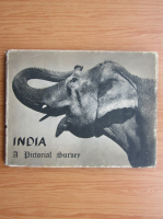 India. A pictorial Surbey