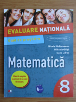 Mirela Moldoveanu - Matematica. Ghid de pregatire pentru Evaluarea Nationala