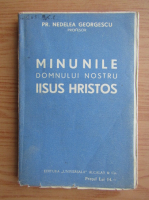Nedelea Georgescu - Minunile Domnului Nostru Iisus Hristos (aprox. 1930)